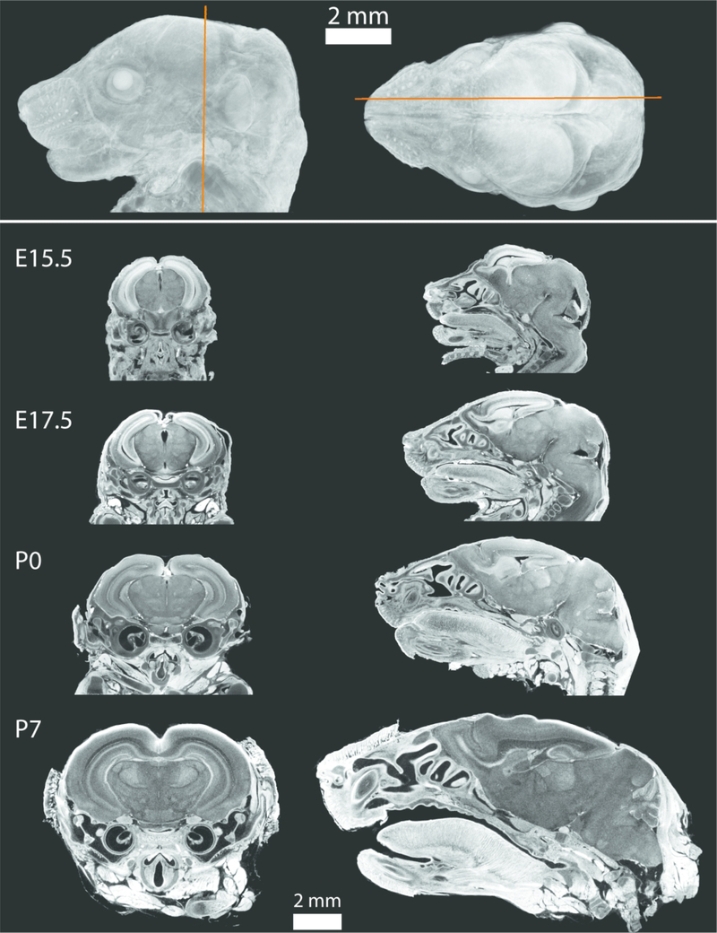 Figure 3.