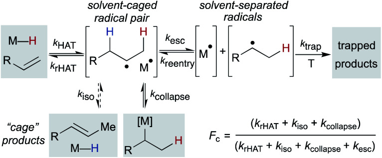 Scheme 7