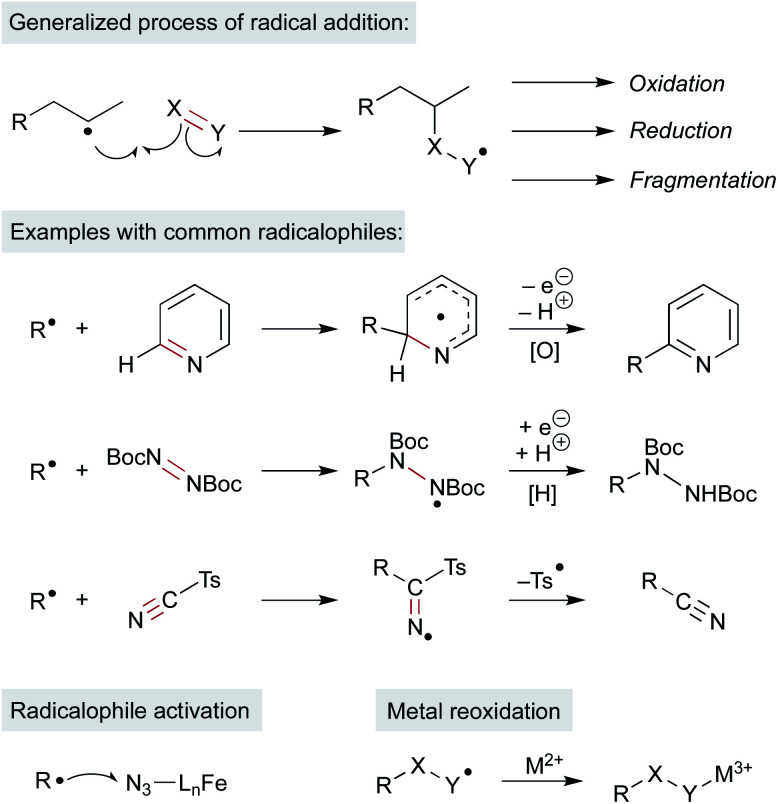 Scheme 12