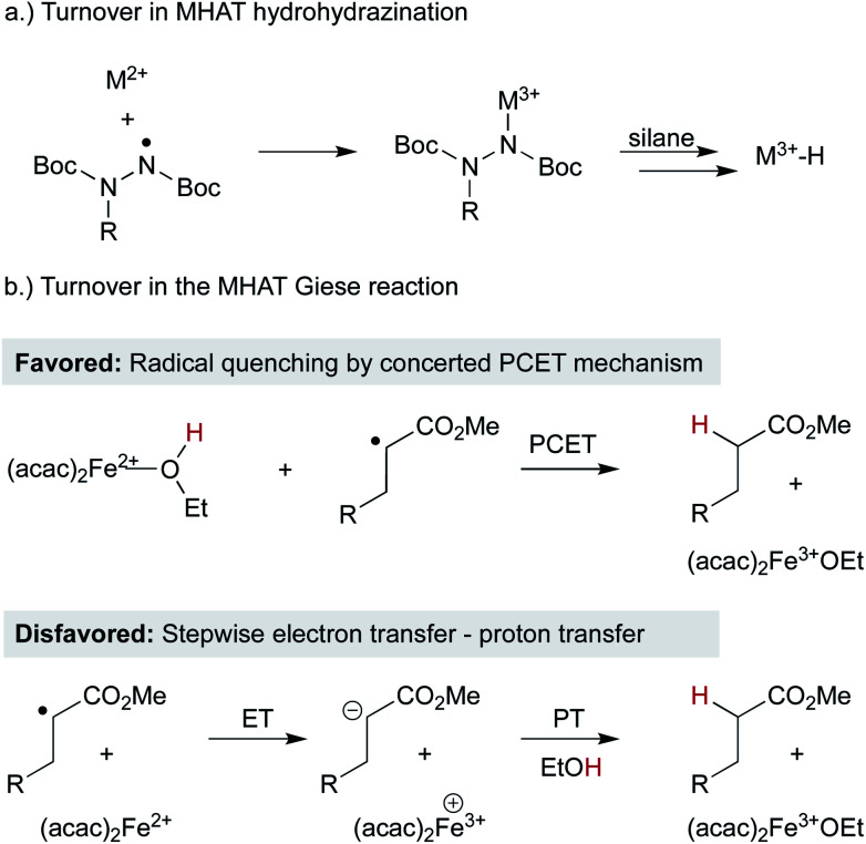 Scheme 13