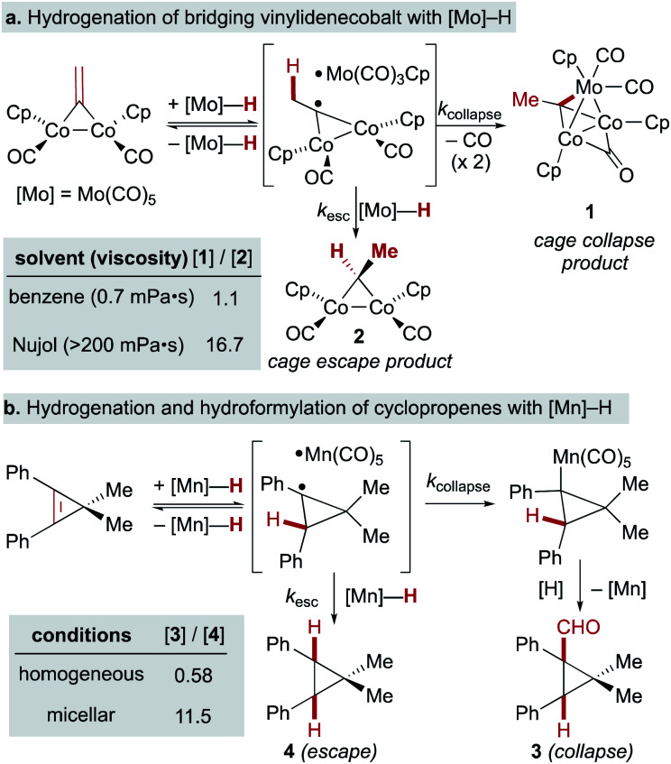 Scheme 8