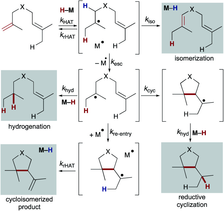 Scheme 10