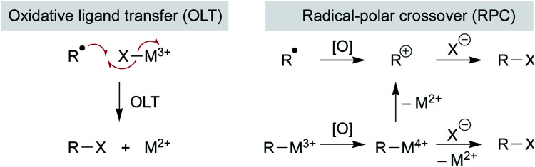 Scheme 14