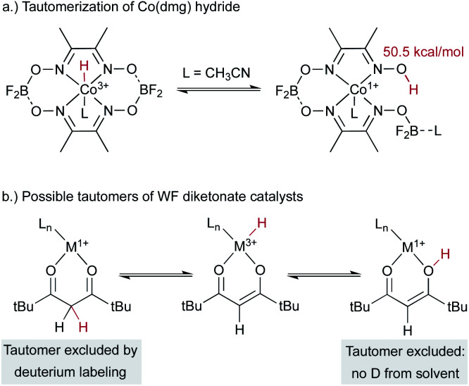 Scheme 5