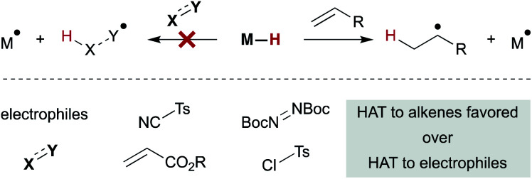 Scheme 6