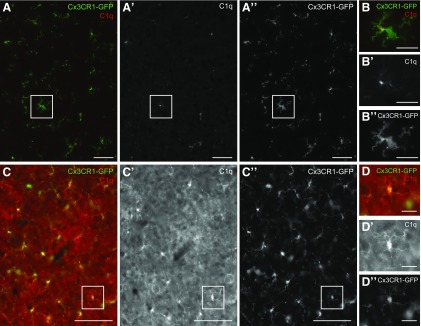 Figure 4.