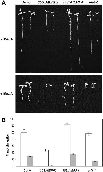 Figure 5.