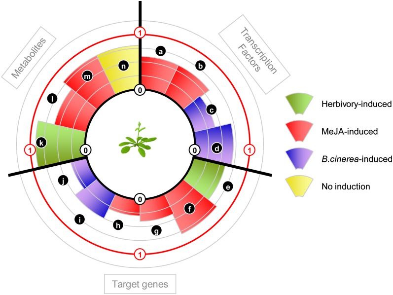 Figure 4.