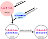 Figure 1.