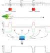 Figure 4.