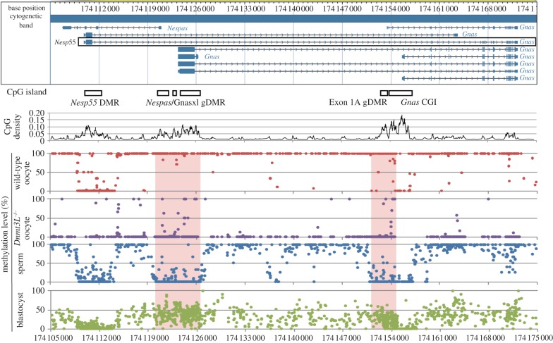 Figure 2.