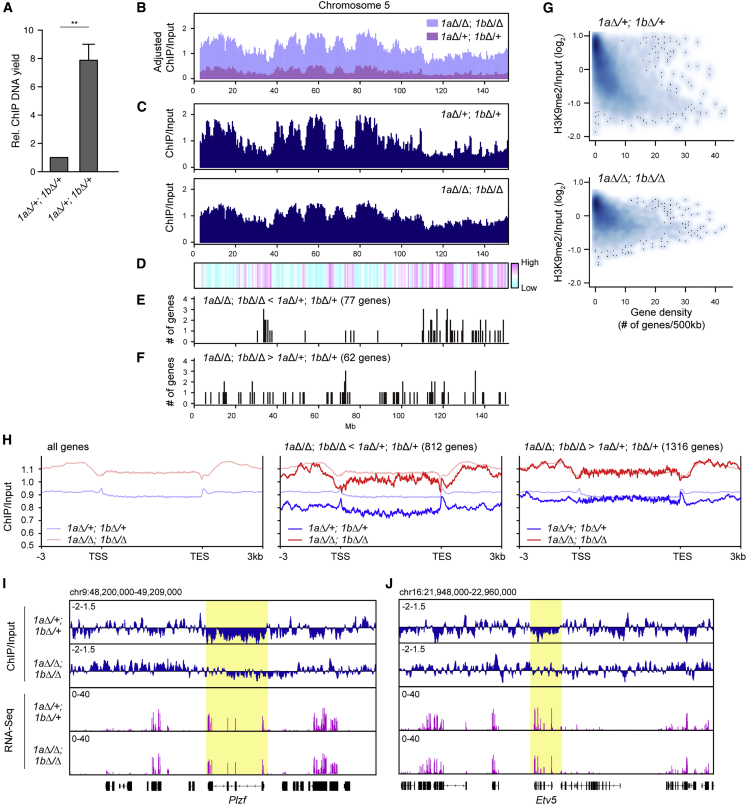 Figure 6