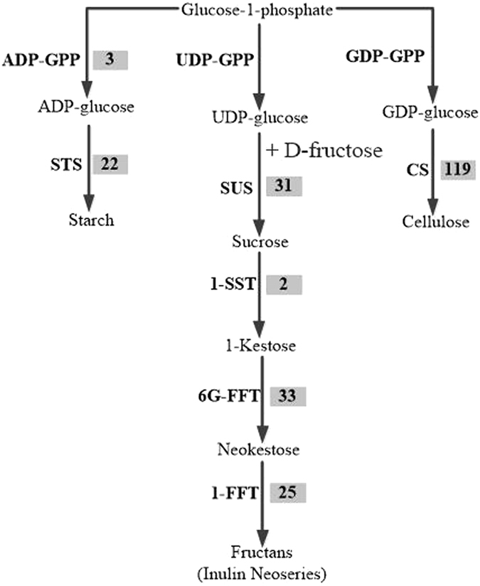 Figure 11