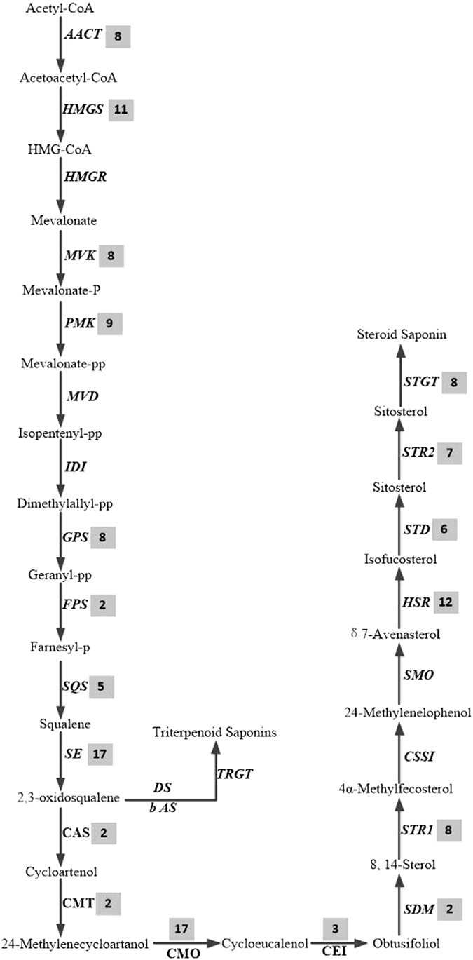 Figure 10