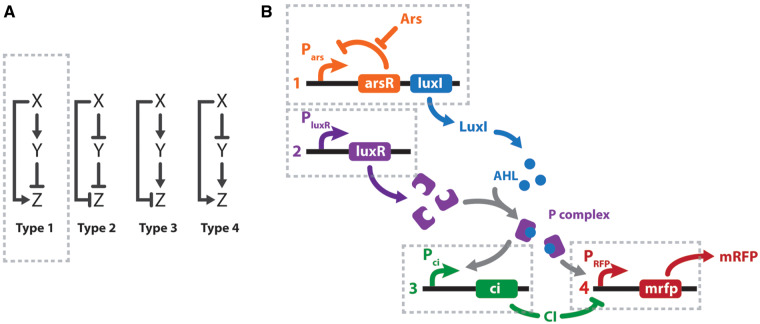 Figure 1.