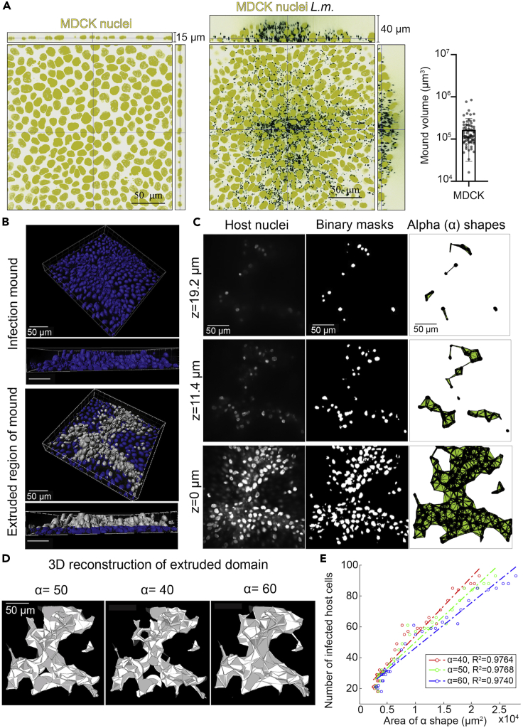 Figure 2