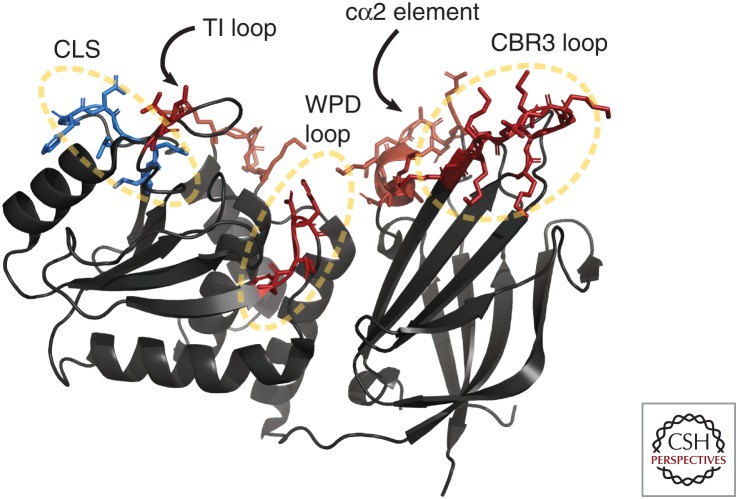 Figure 1.