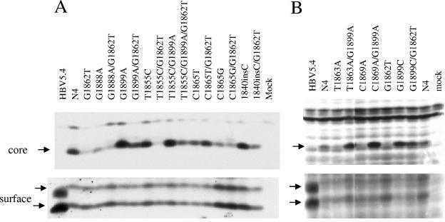 FIG. 7.