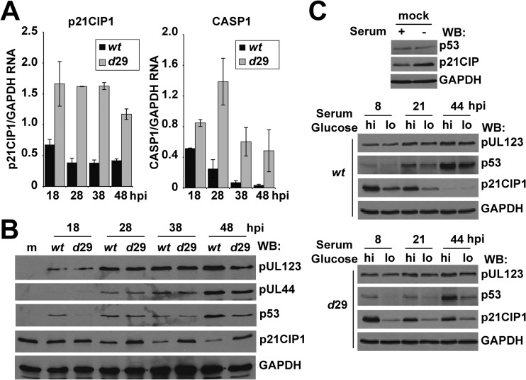 Fig 4