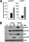 Fig 5