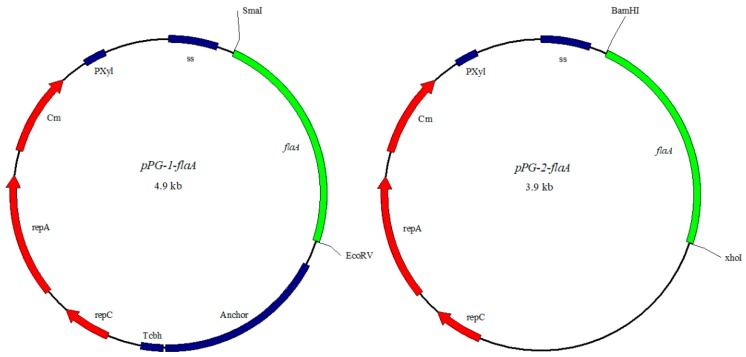 Figure 11