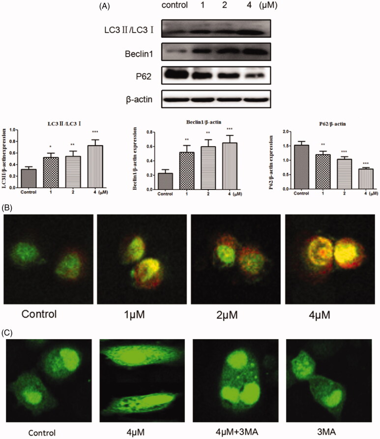 Figure 6.