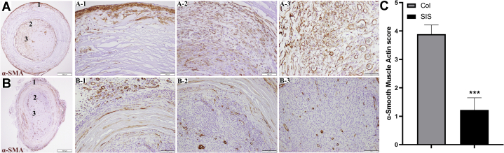 Figure 6