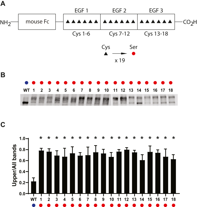 Figure 2