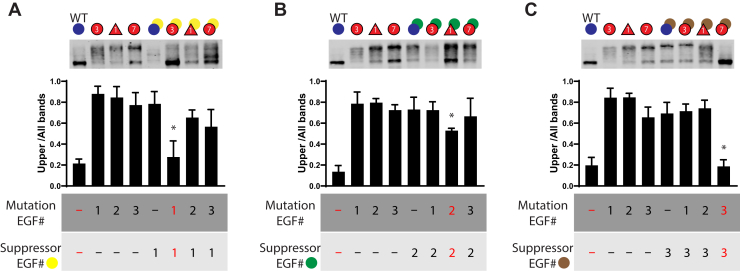 Figure 9