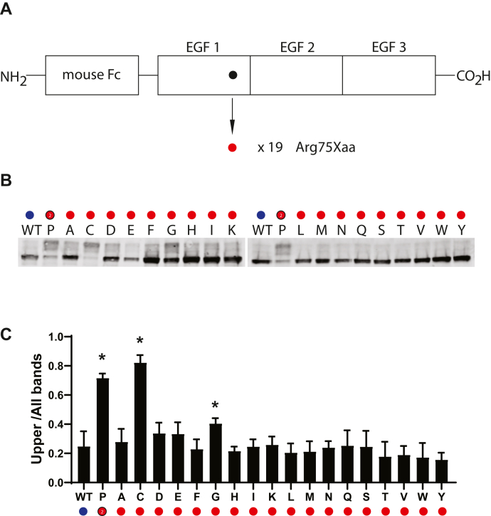 Figure 6