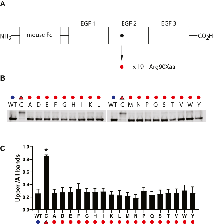 Figure 5