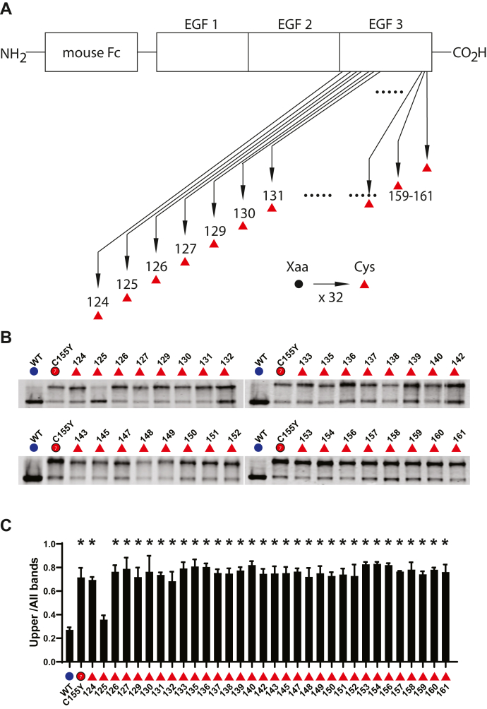 Figure 7