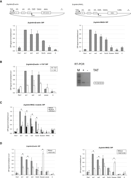 Figure 2