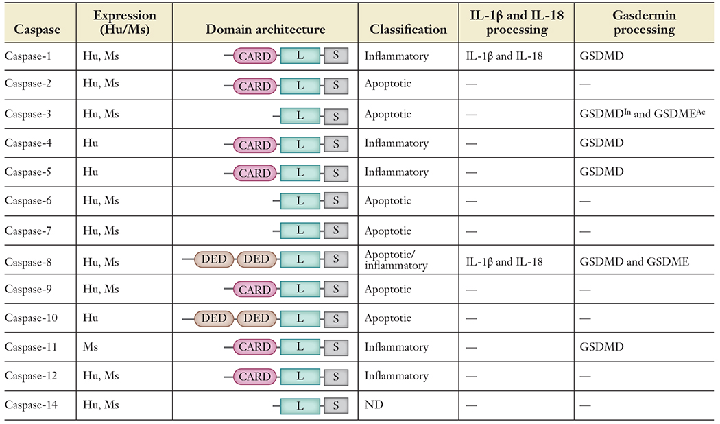 graphic file with name nihms-1561859-t0004.jpg