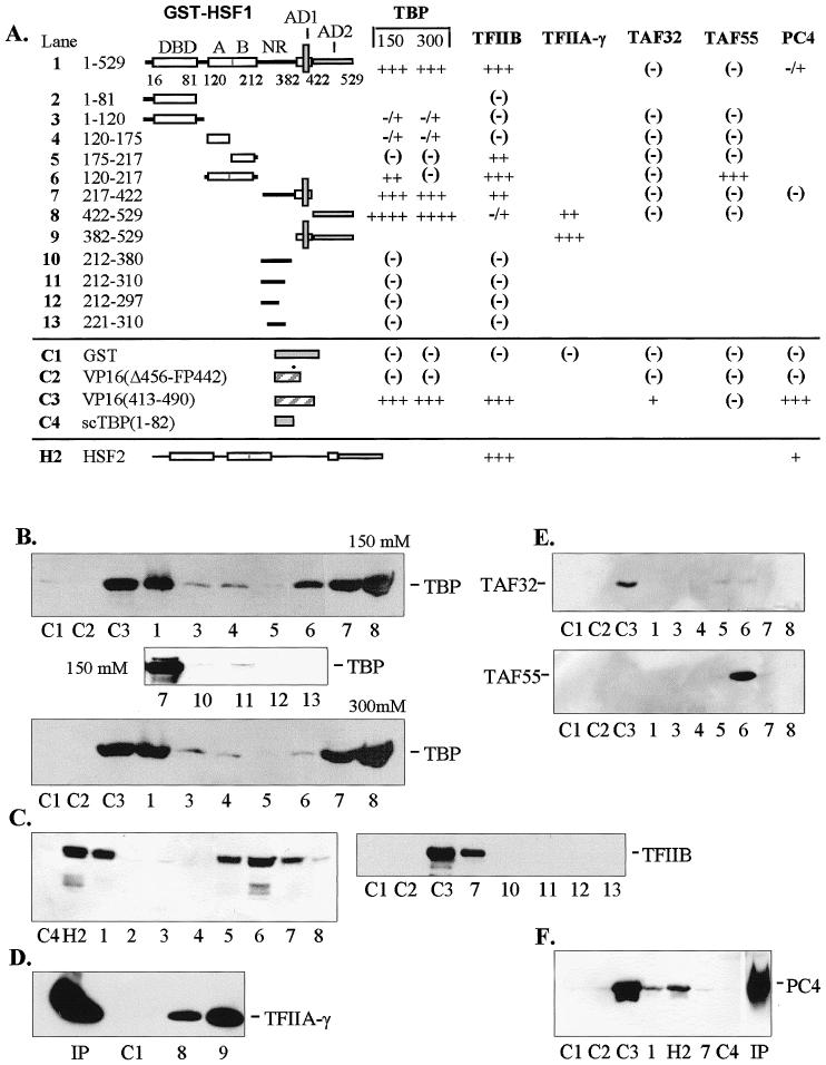 Fig 1.