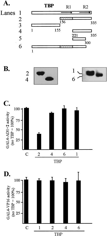 Fig 7.