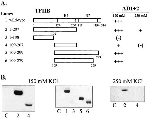 Fig 3.