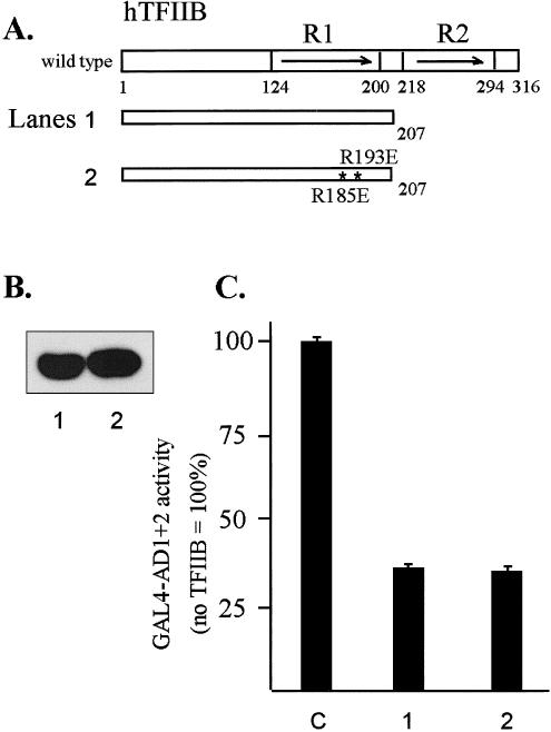 Fig 8.