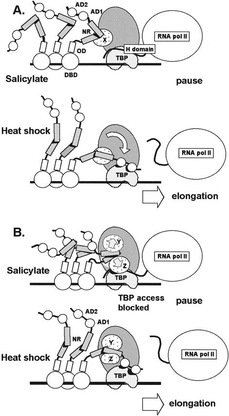 Fig 10.