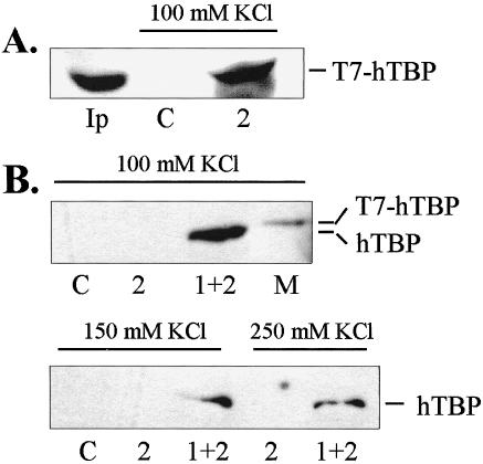 Fig 4.