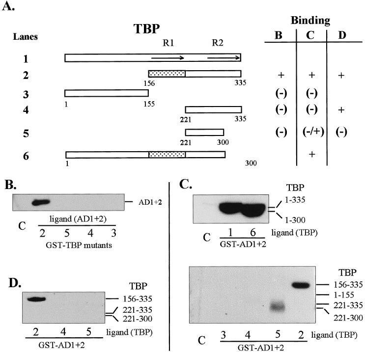 Fig 2.