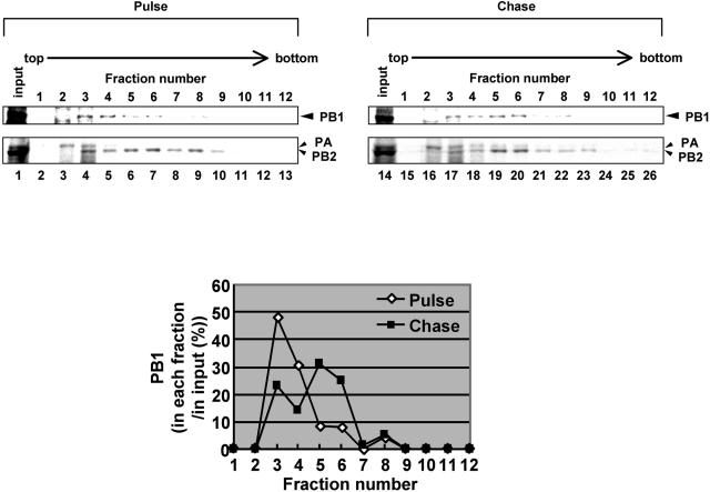 FIG. 6.