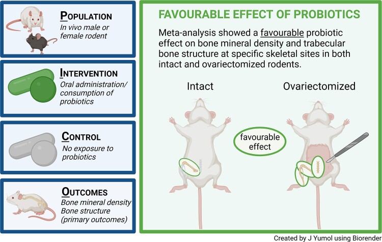 Graphical Abstract