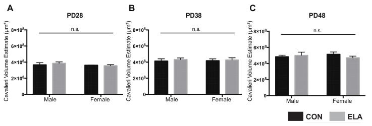 Figure 1—figure supplement 1.