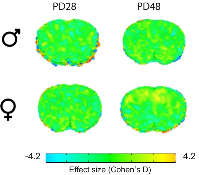 Figure 5—figure supplement 1.