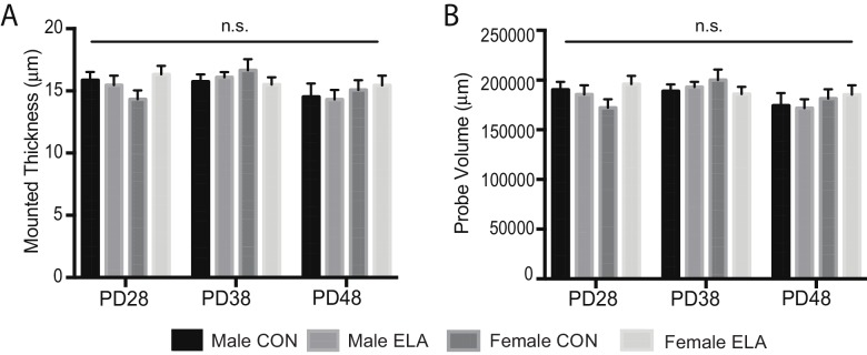 Figure 2—figure supplement 1.