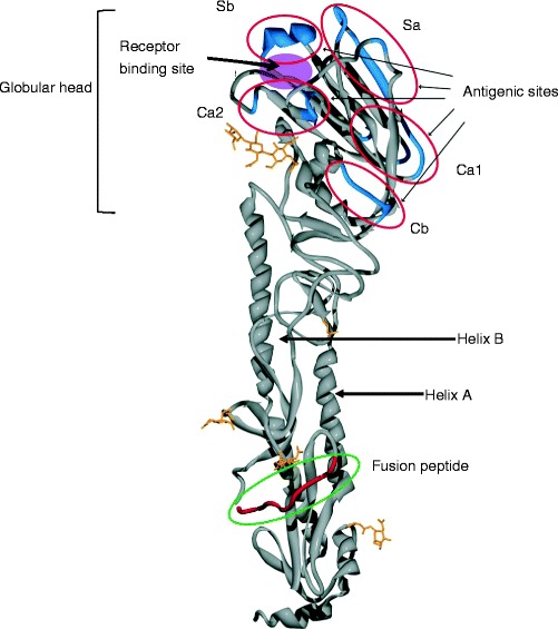 Fig.2