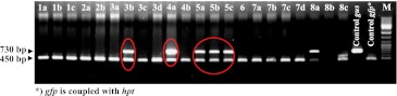 Fig. 3