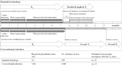 Fig. 6