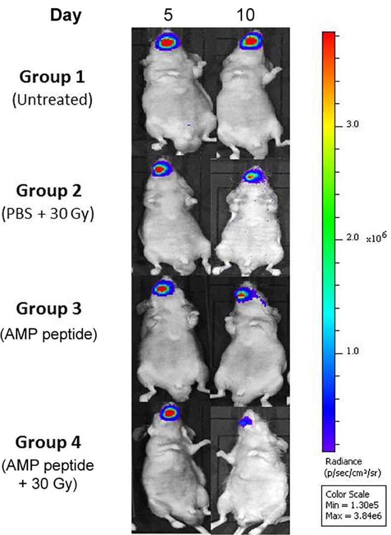 Fig 3